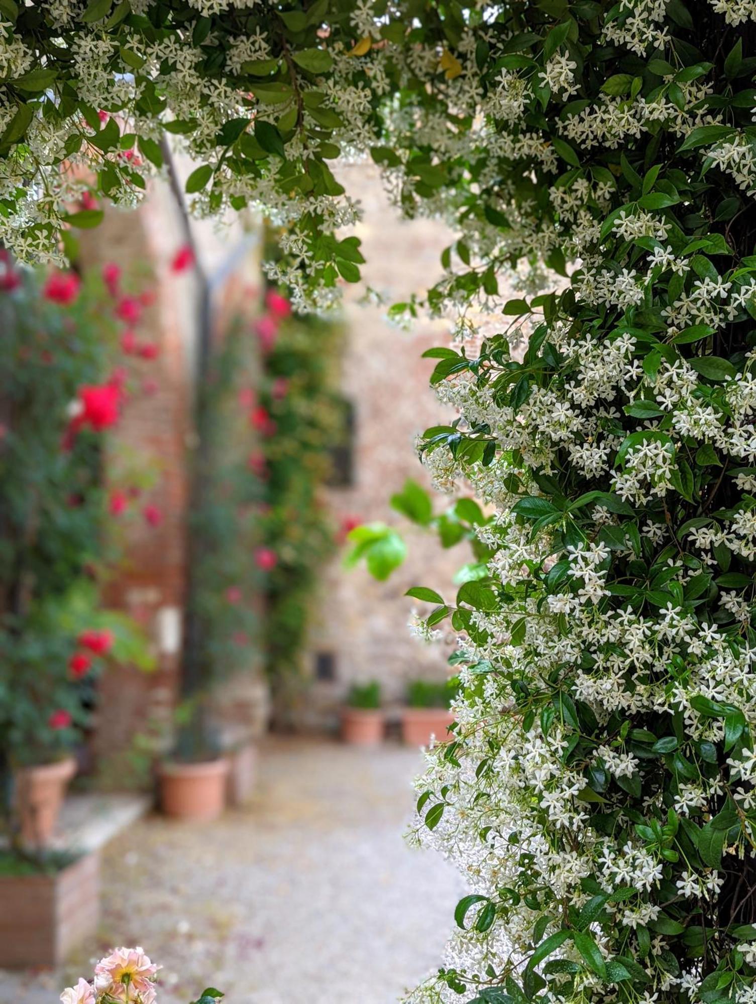 Enchanting Verona Dış mekan fotoğraf